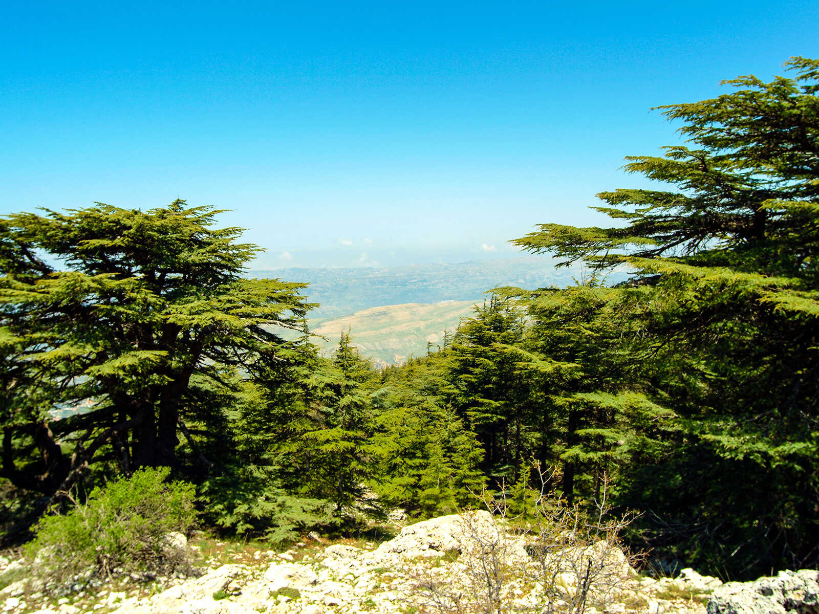 Shouf Biosphere Reserve 1
