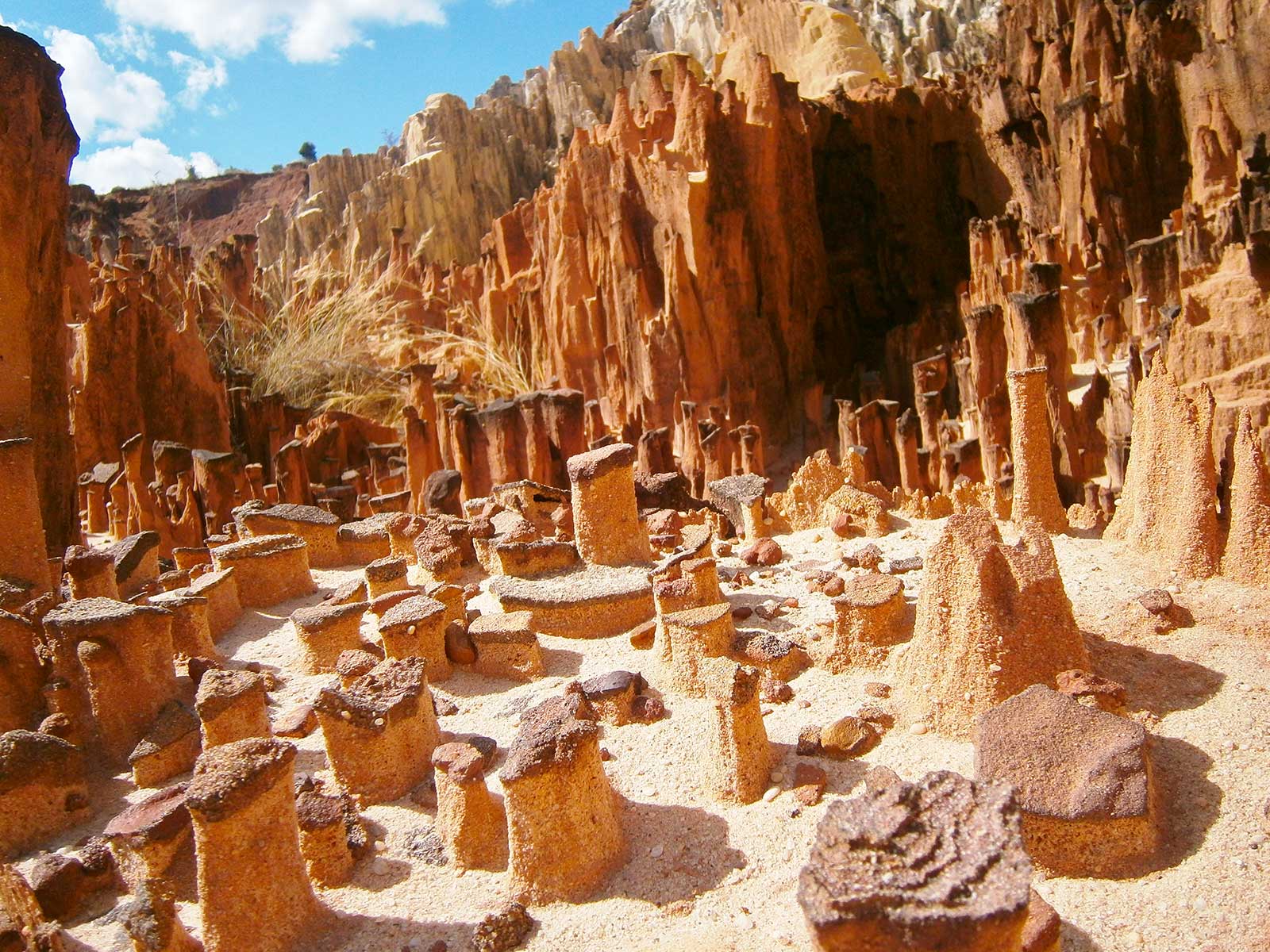 Ankarafantsika Nature Reserve 1