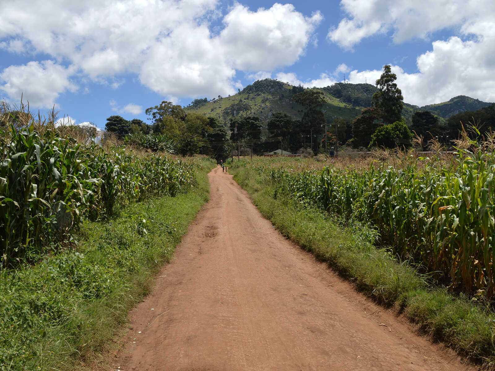 Dedza