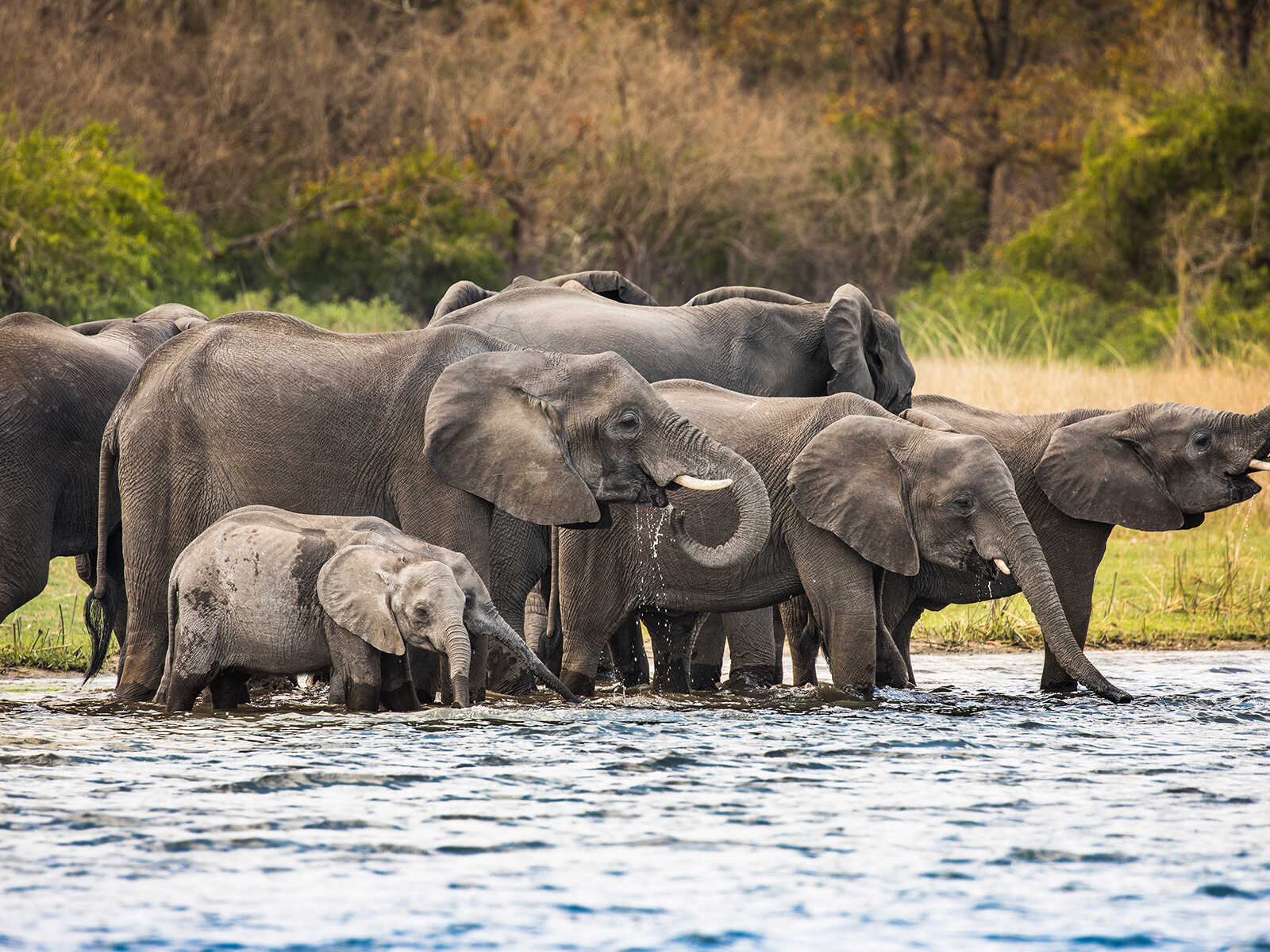 Liwonde National Park 2