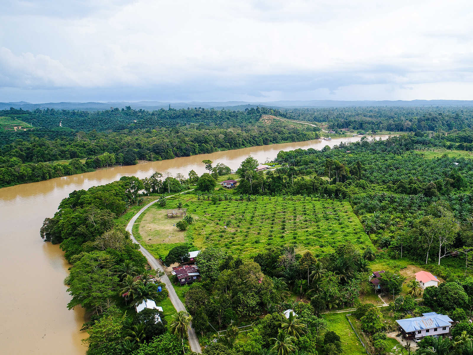 Kinabatangan River 2