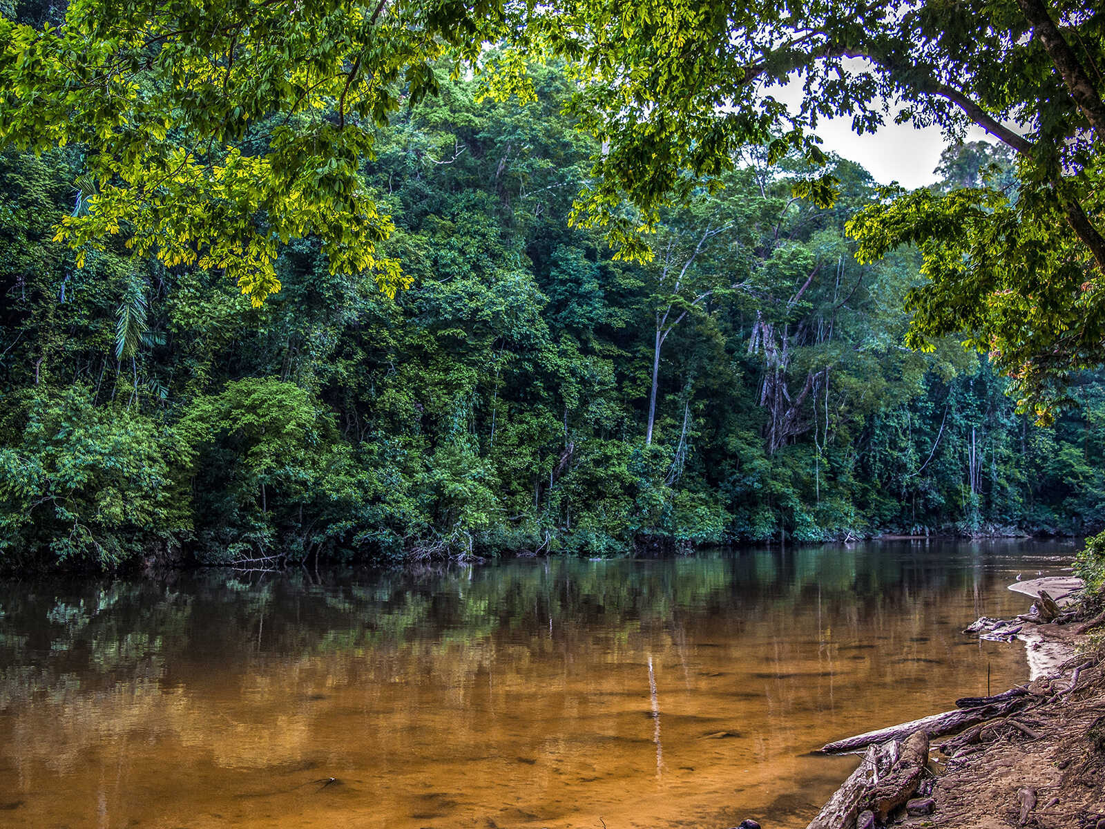 Taman Negara