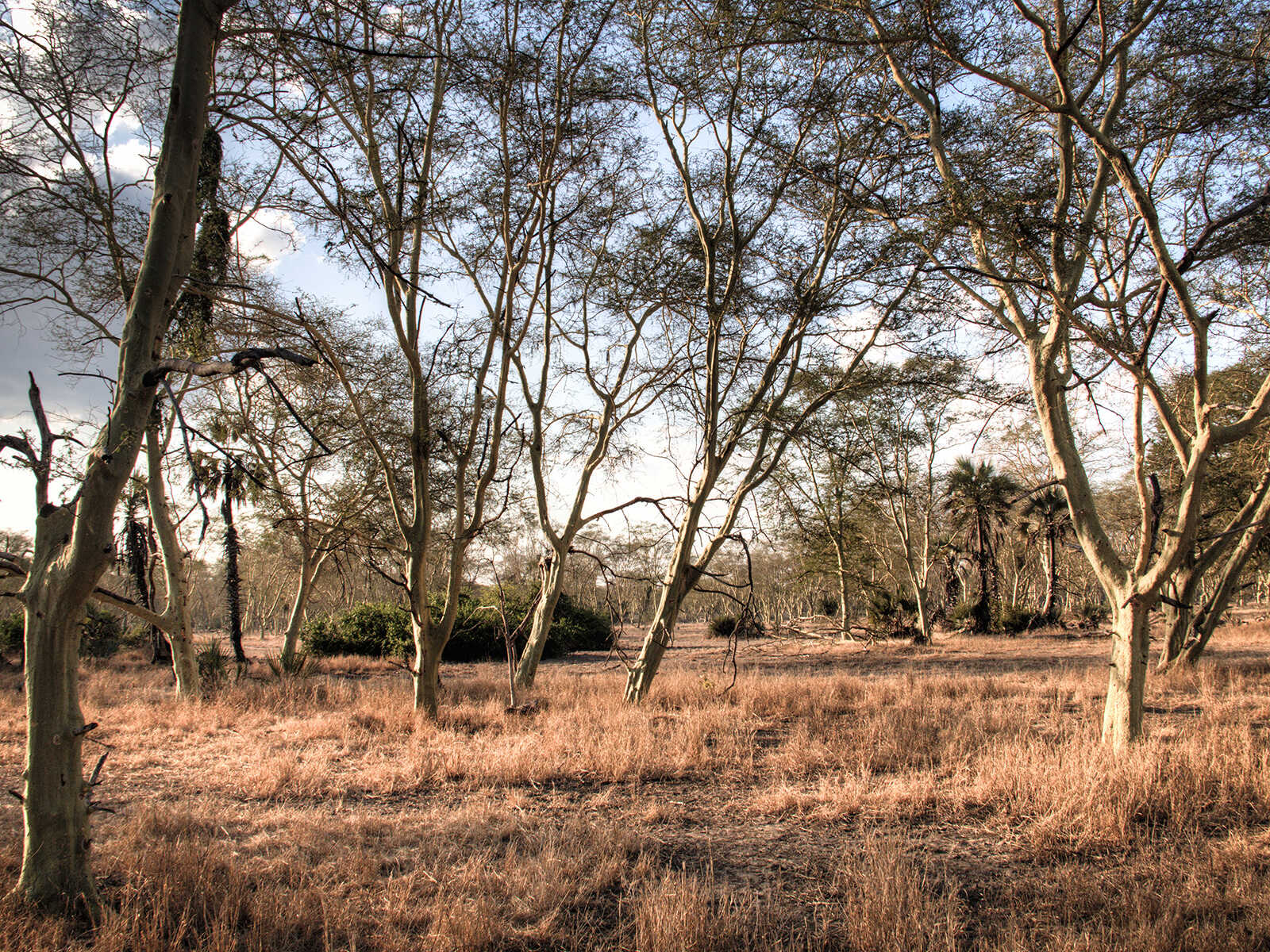 gorongosa-national-park-mustseespots