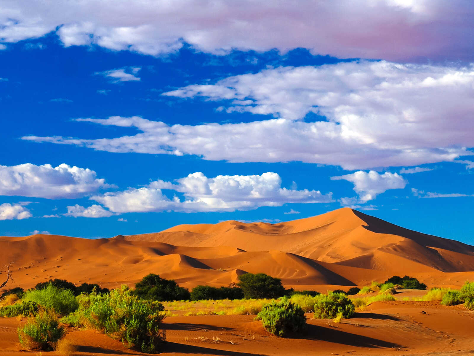 Namib-Naukluft National Park 1