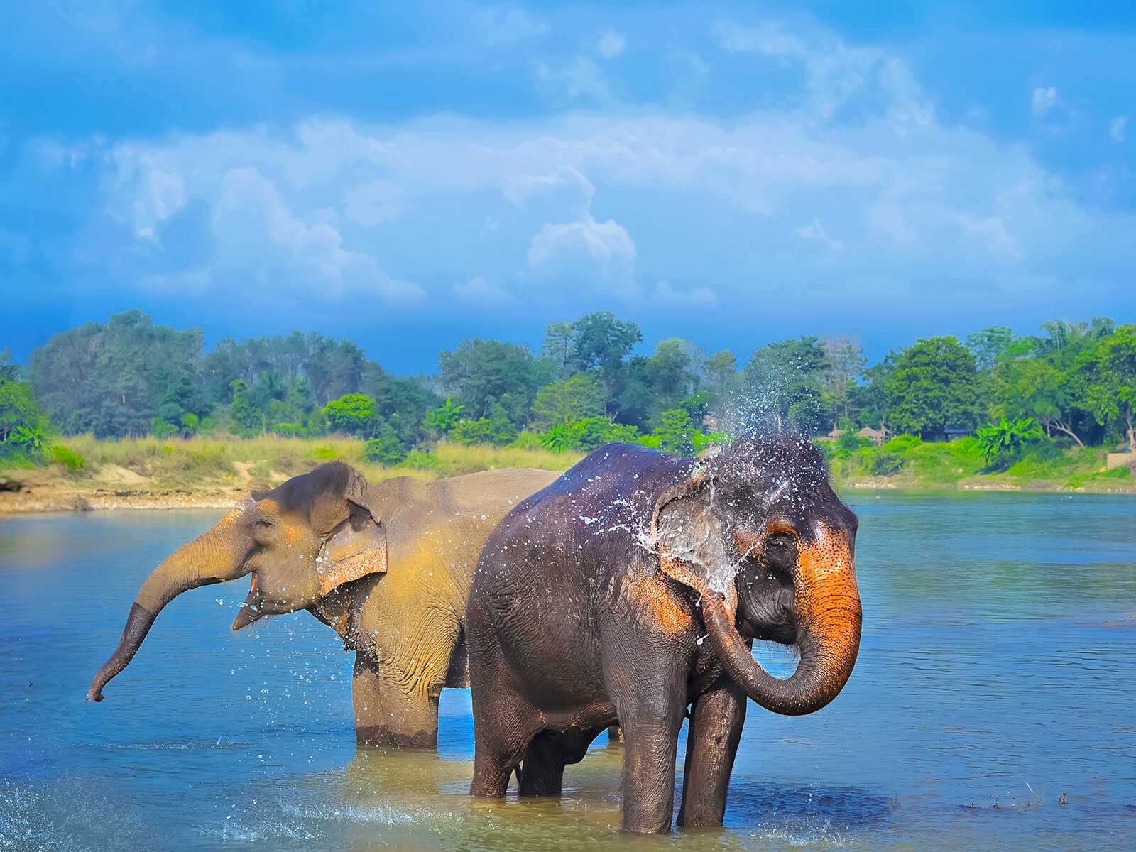 Chitwan National Park 1