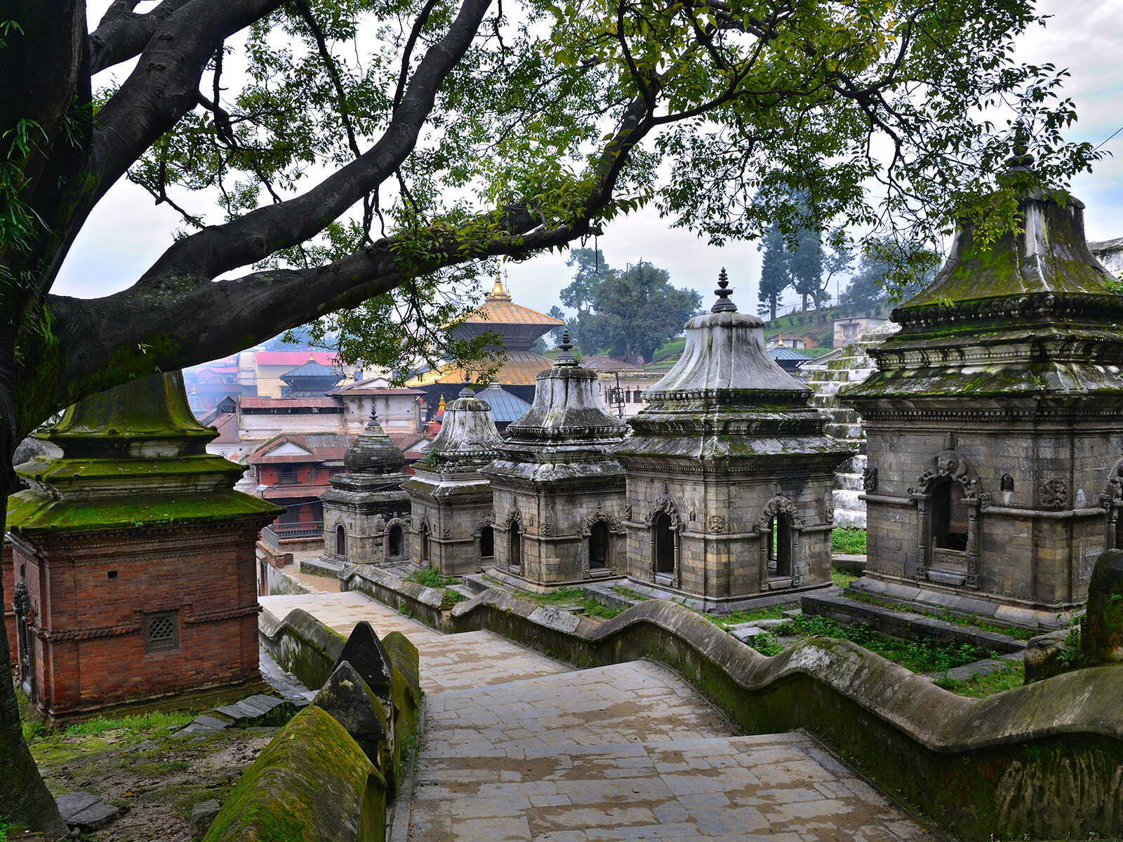 Pashupatinath Temple 1
