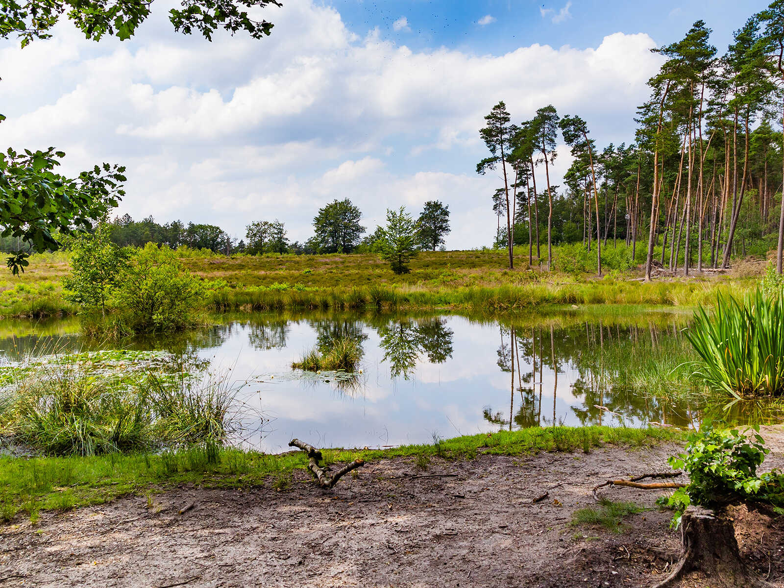 Hoge Veluwe National Park 1