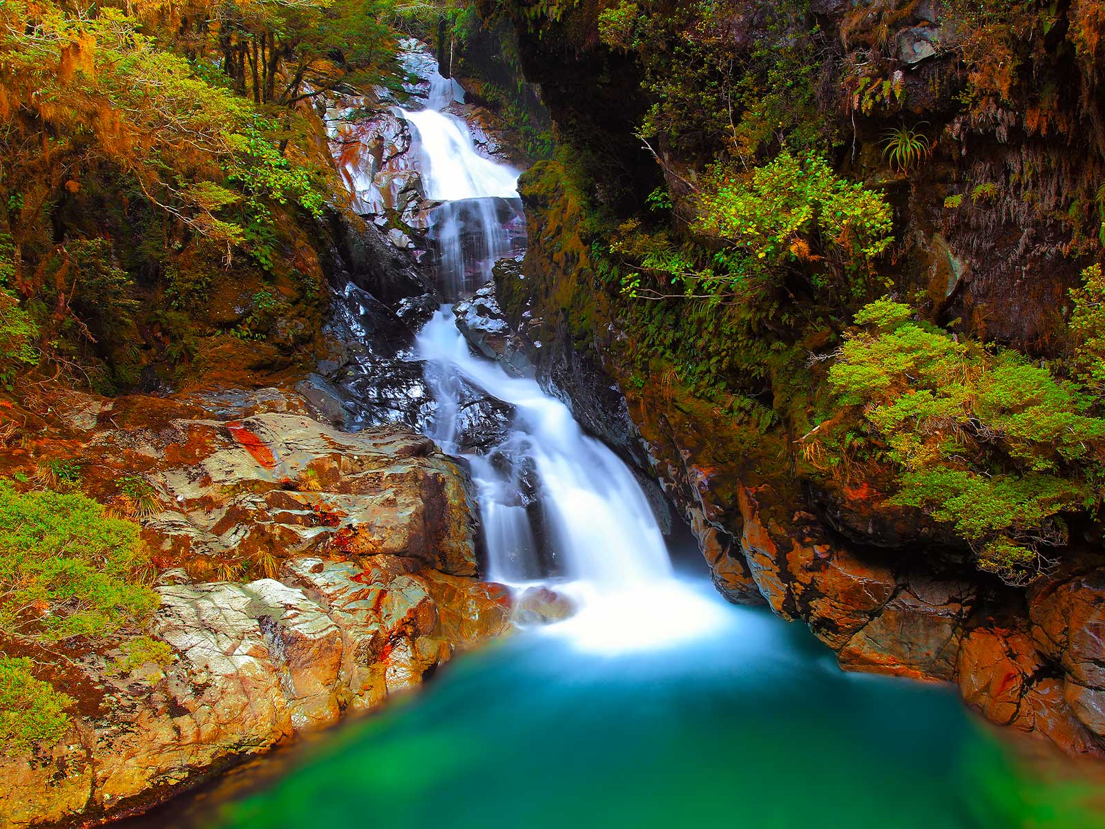Fiordland National Park 1