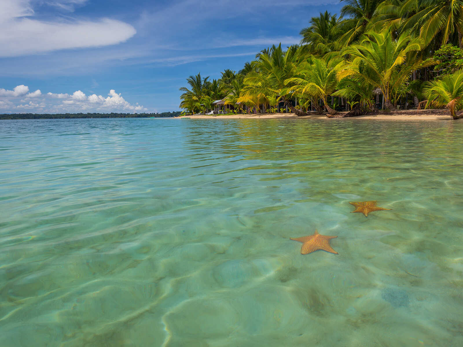 Starfish Beach Панама
