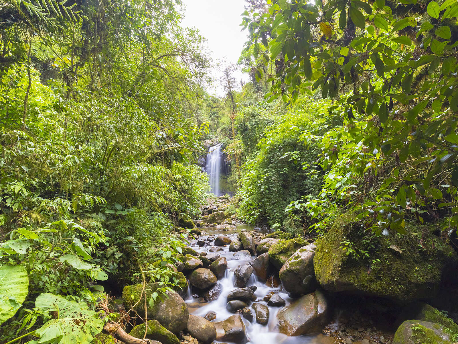 Additional view 1 of The Lost Waterfalls