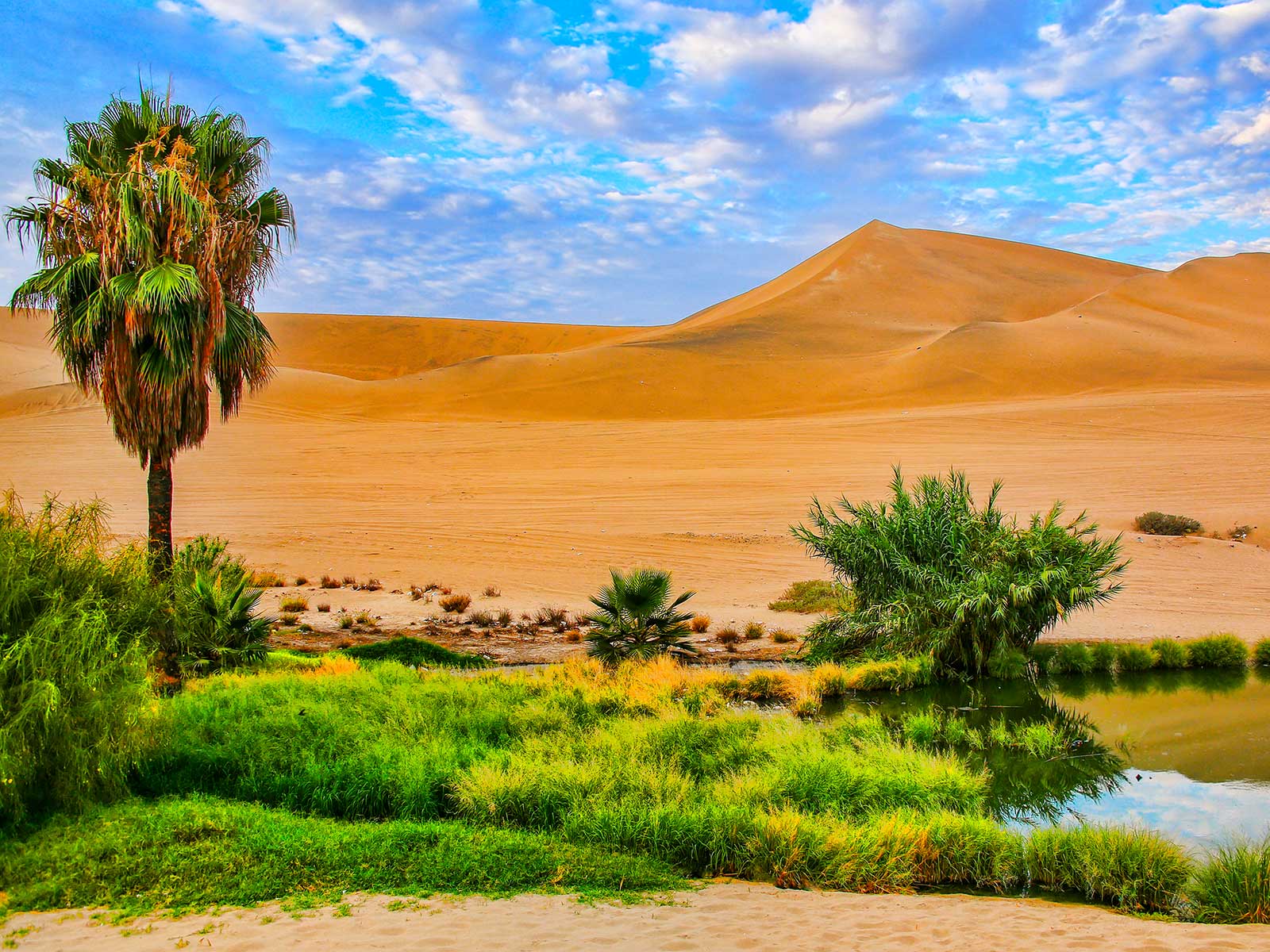 Huacachina