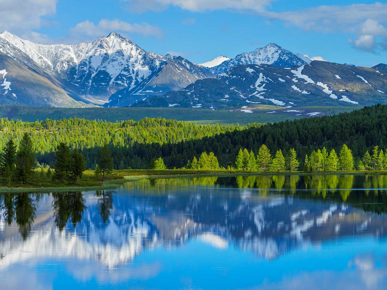 Altay