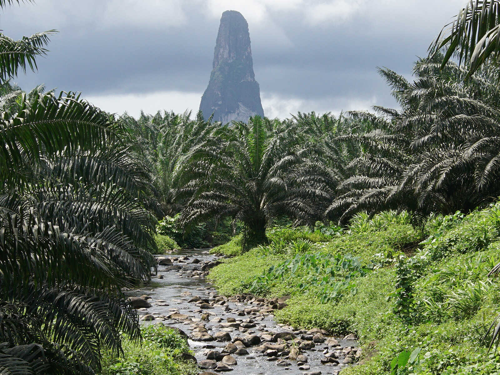 Cão Grande Peak