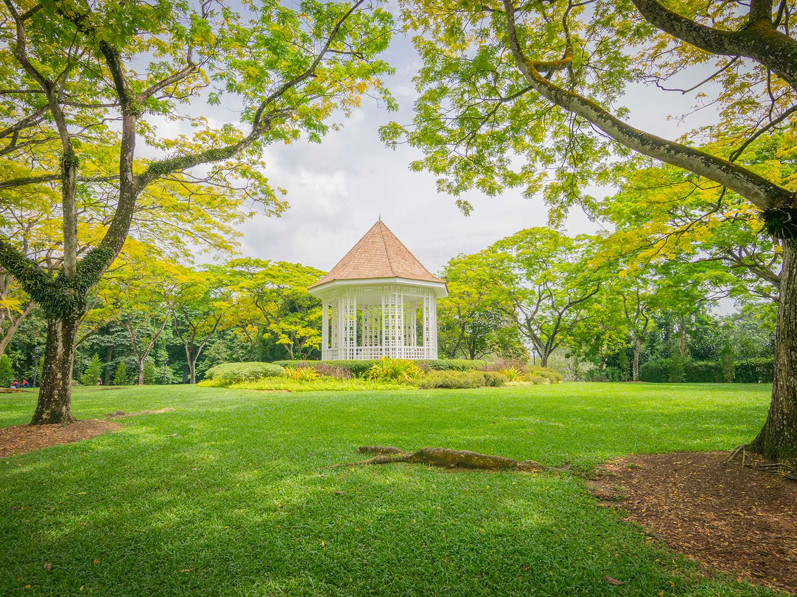 Singapore Botanic Garden 2