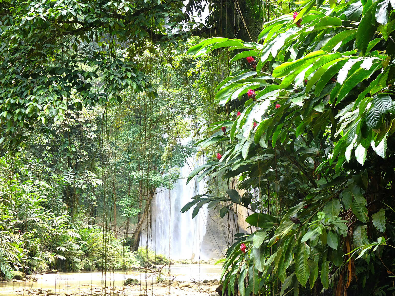 Tenaru waterfalls