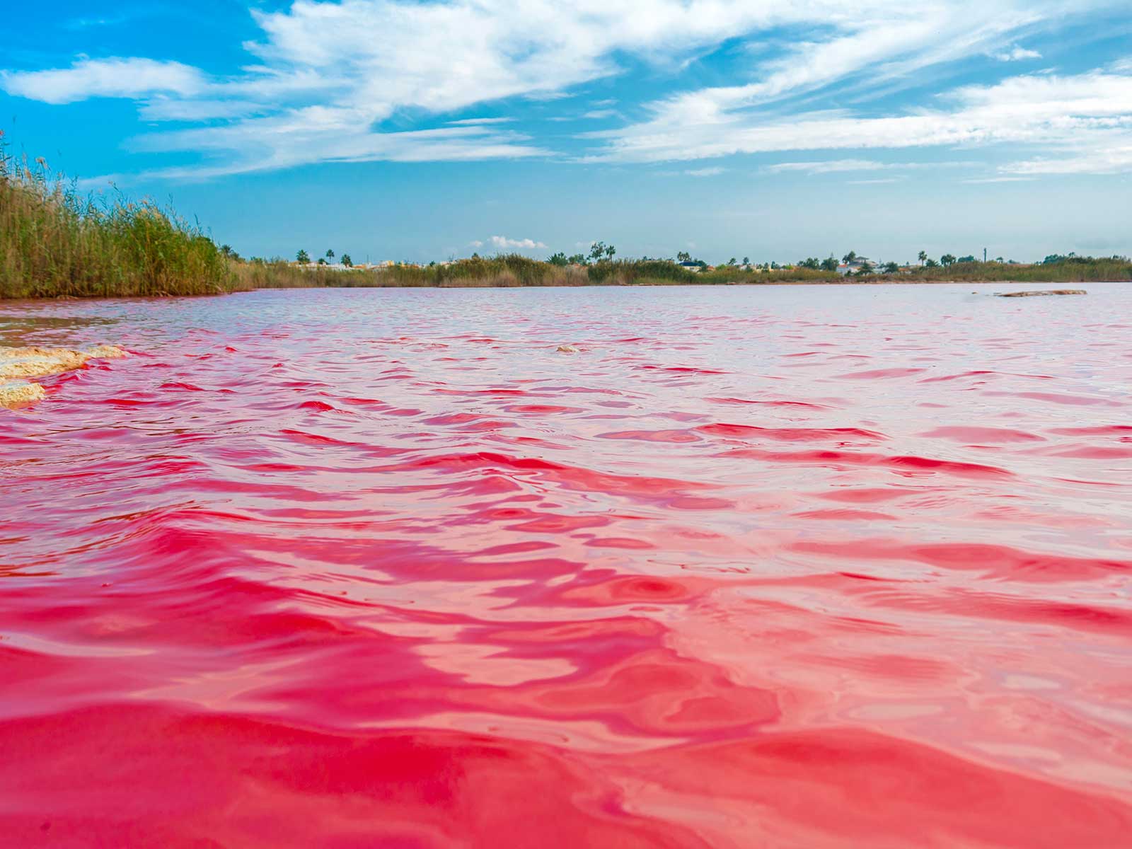 Spain's Pink-Water Lake, Las Salinas de Torrevieja - Apartment Costa Blanca