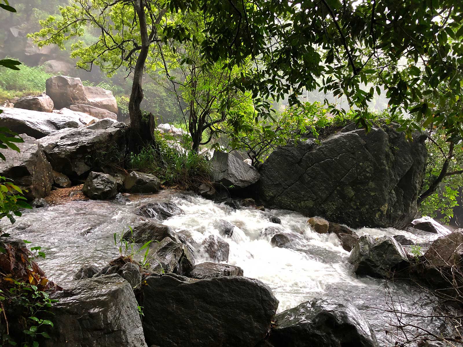 Diyaluma Falls 2