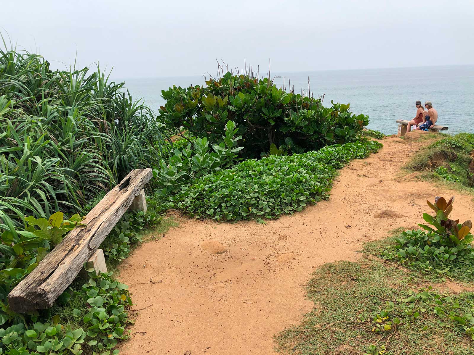 Parrot Rock Bridge 1