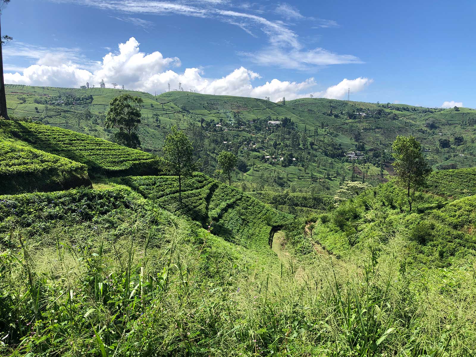 Train from Ella to Kandy 2