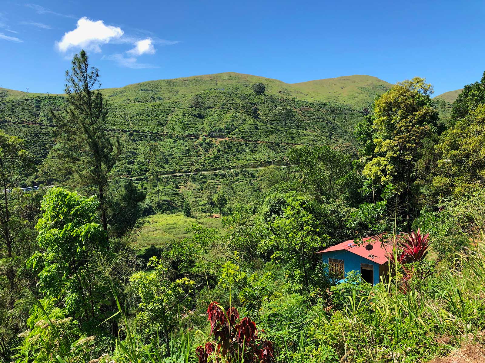 Train from Ella to Kandy 6