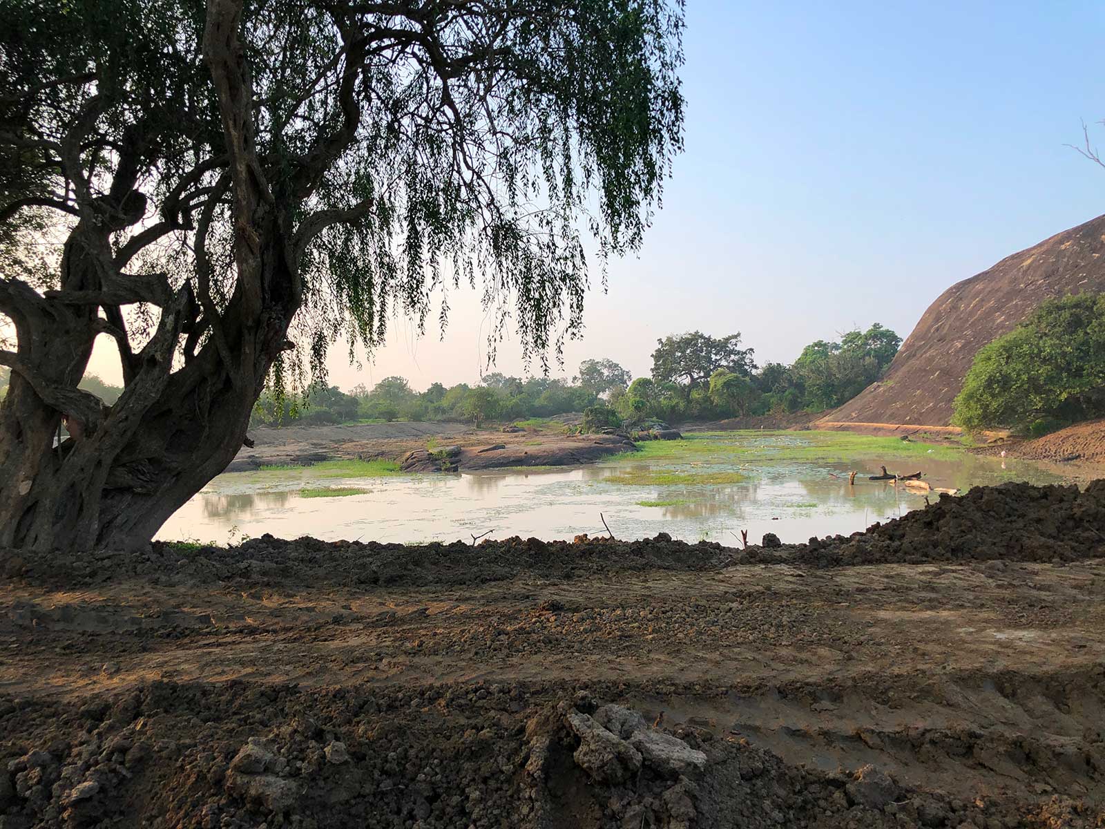 Yala National Park 1