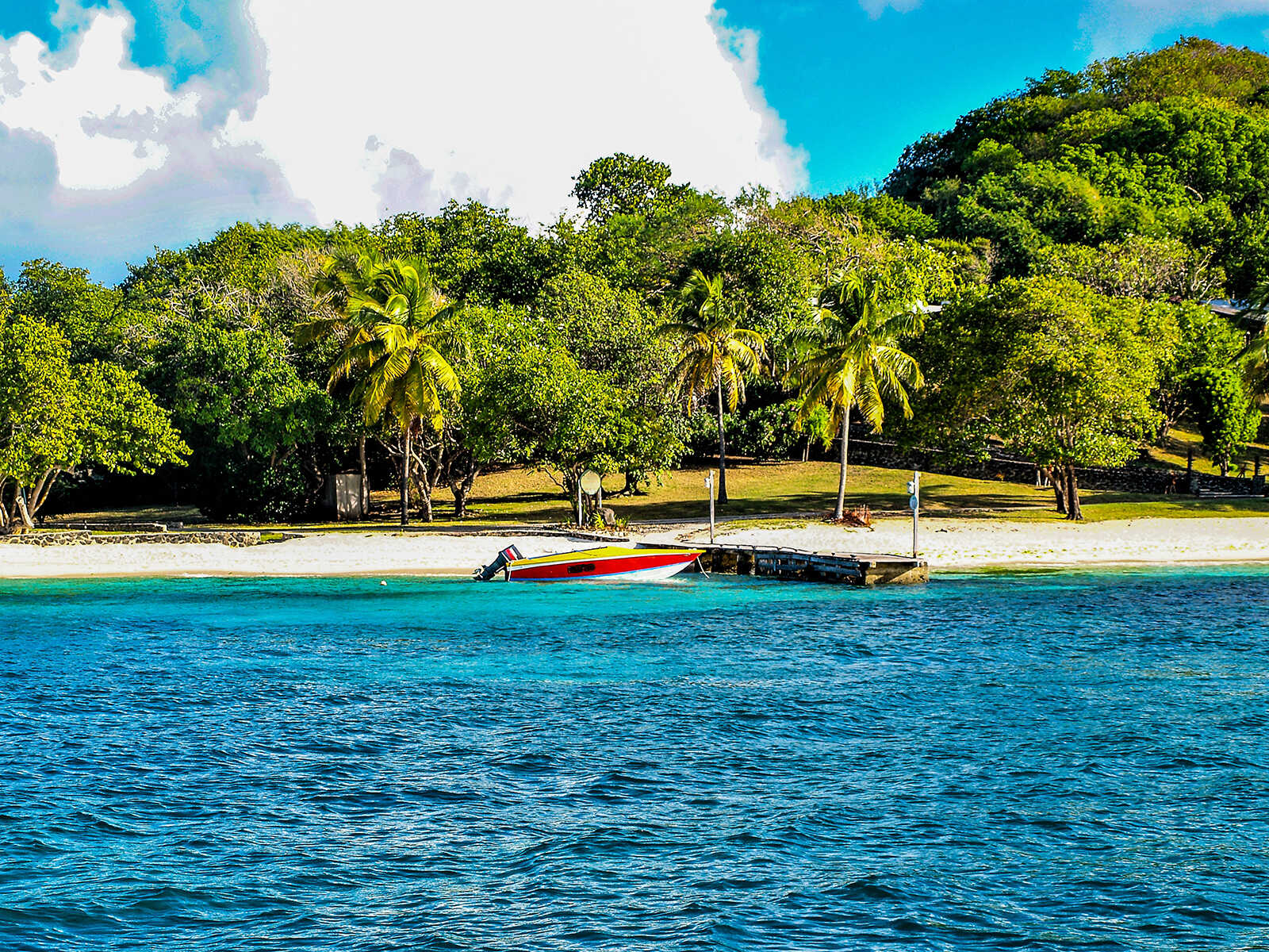 Petit Saint Vincent 1