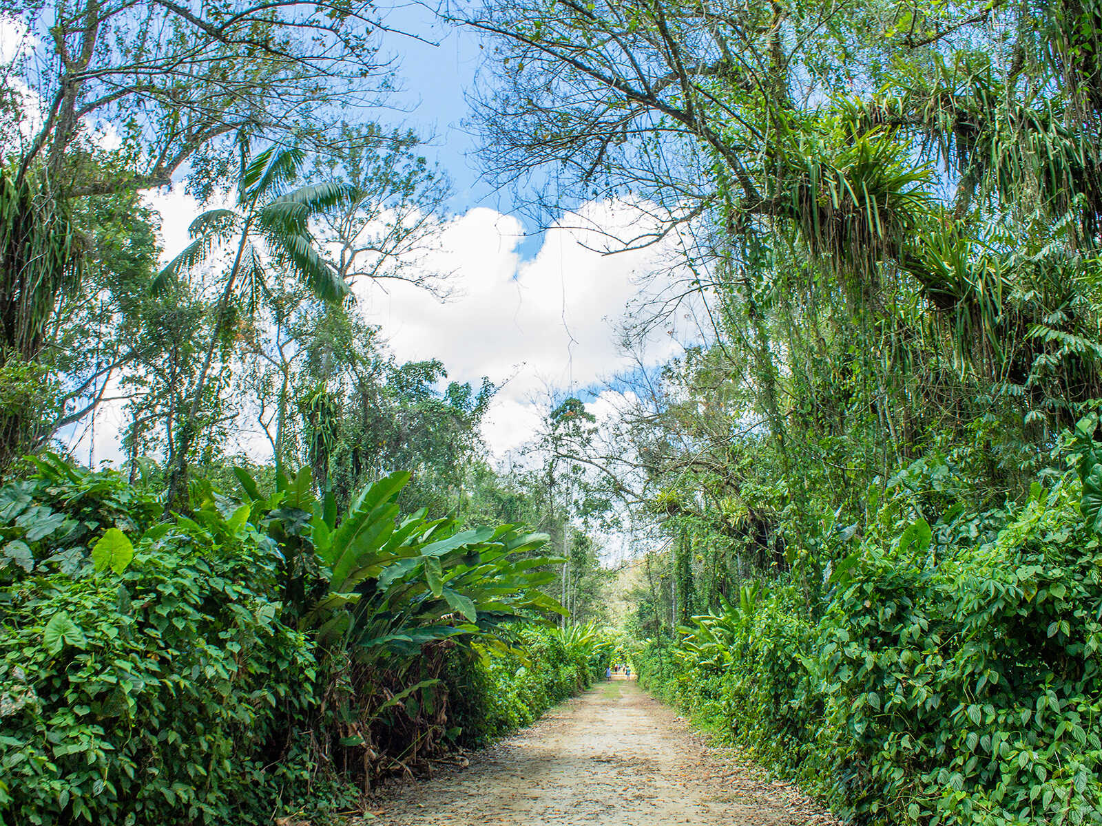 Peperpot Nature Park