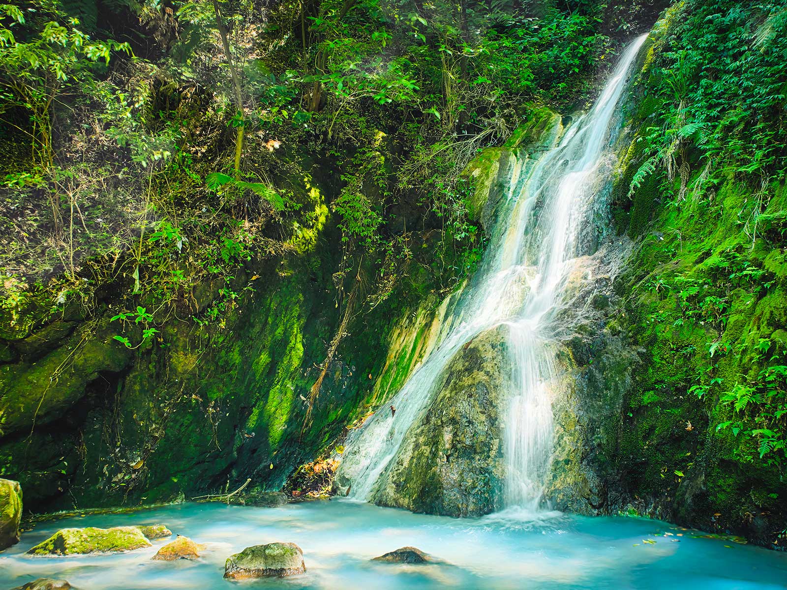 Yangmingshan National Park 1