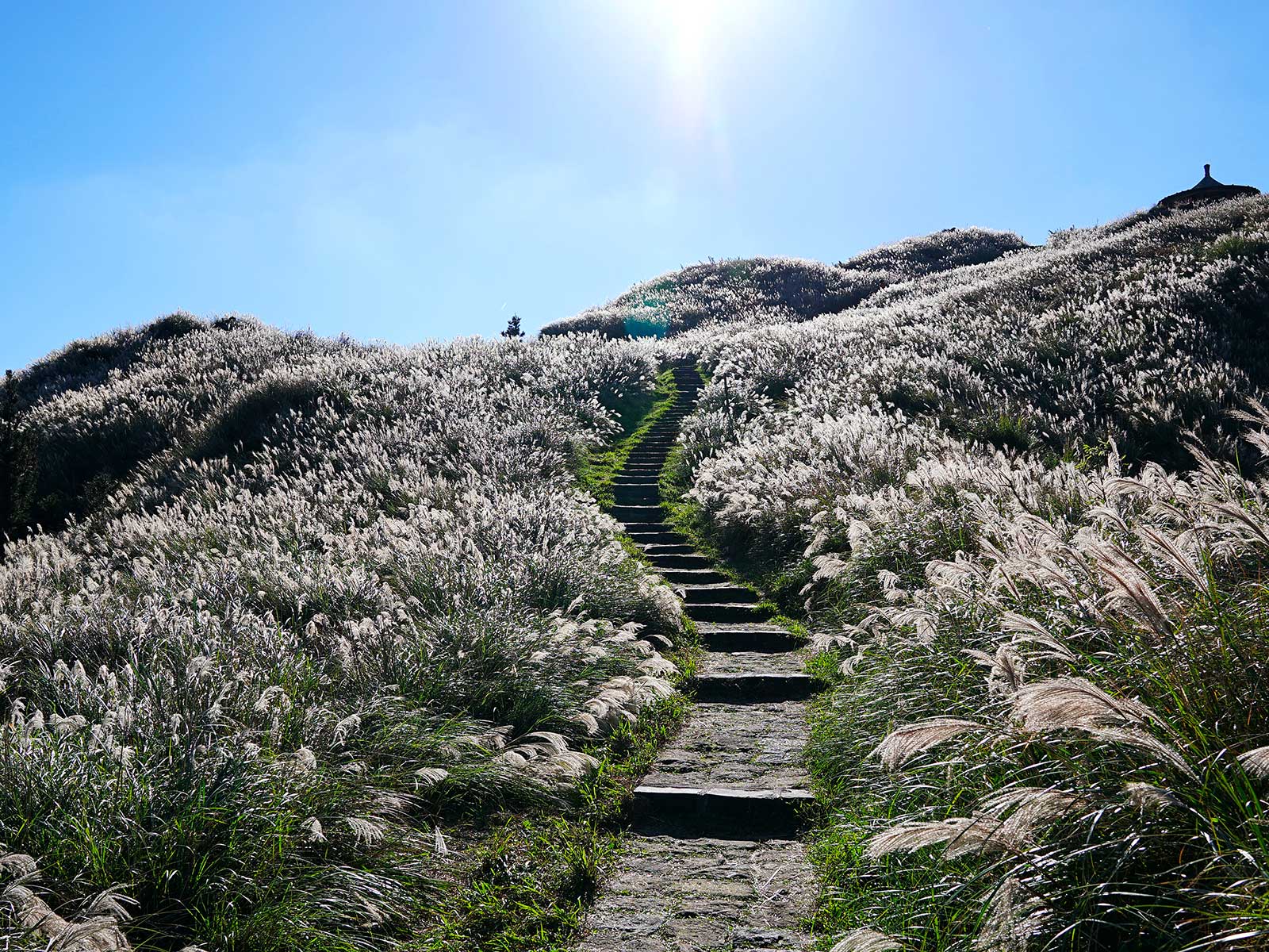 Yangmingshan National Park 2