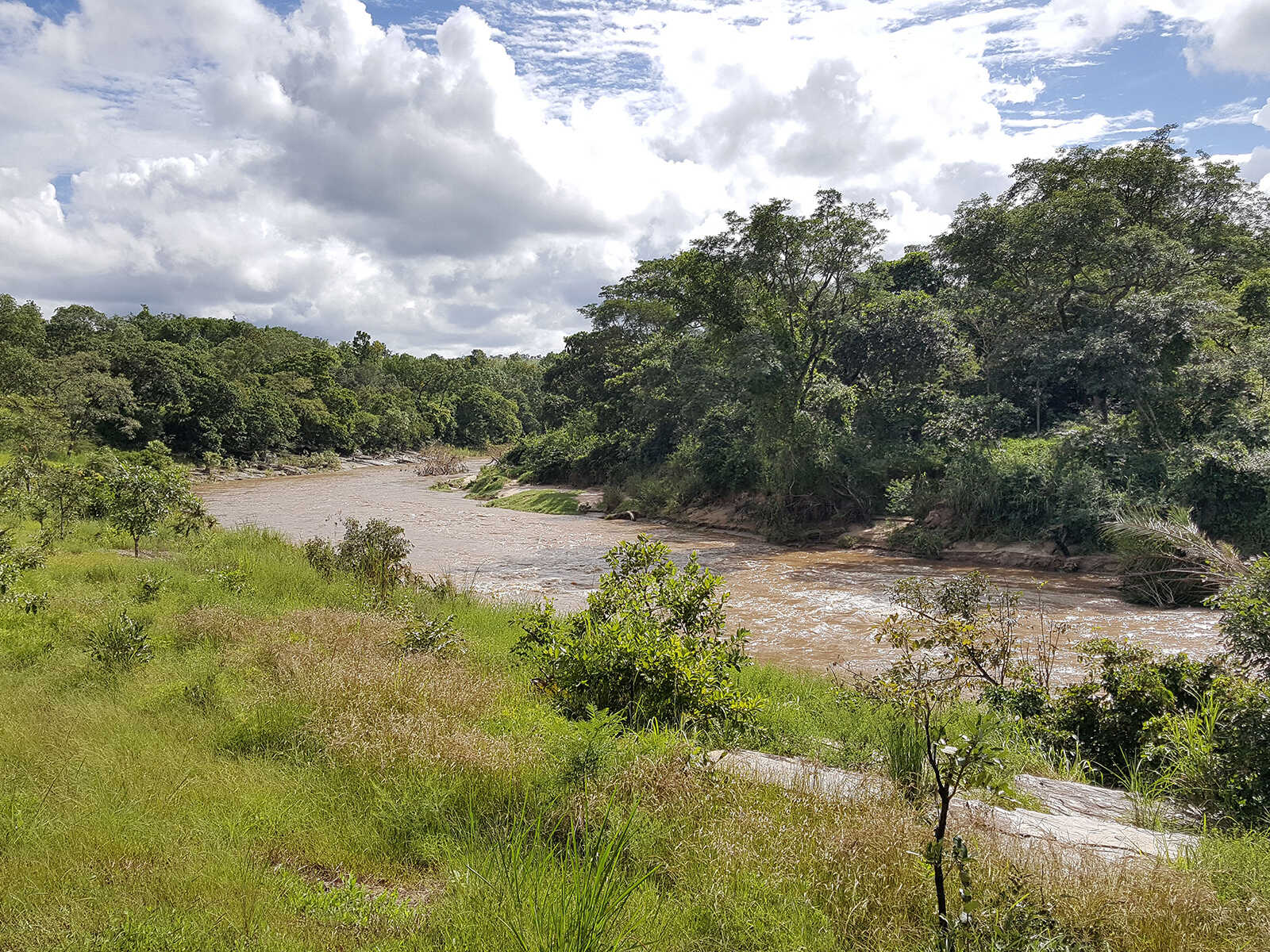 Fazao-Malfakassa National Park