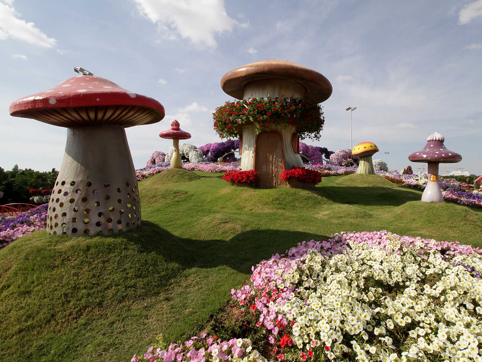 Dubai Miracle Garden 2