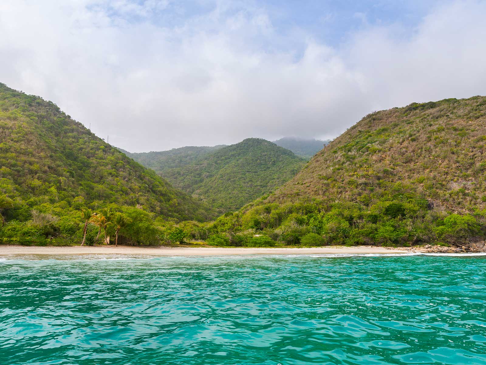 Henri Pittier National Park 1